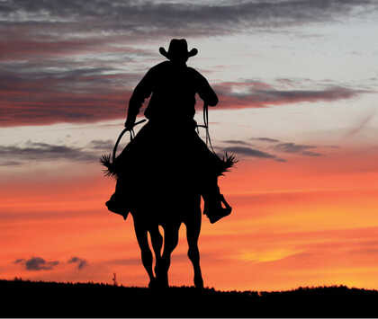 TEXAS