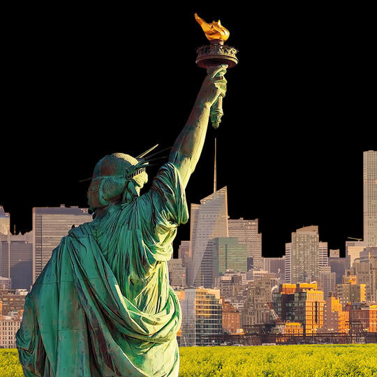 MANHATTAN - LYDERIAUJANTIS SVEIKAS HIBRIDAS
