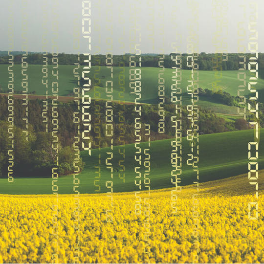 MATRIX CL - 