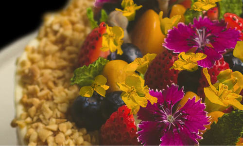 CROCANT - 