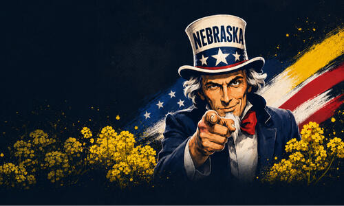 NEBRASKA - TVIRTA LAUKE, STIPRI DERLIUJE