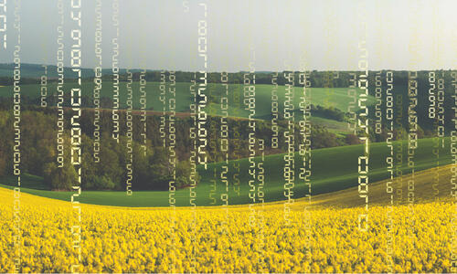 MATRIX CL -