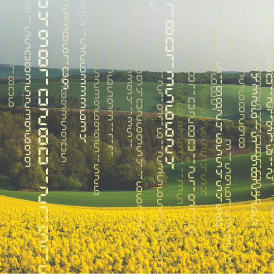 MATRIX CL - 